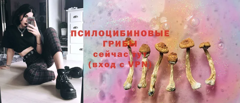 Псилоцибиновые грибы Magic Shrooms  Кушва 